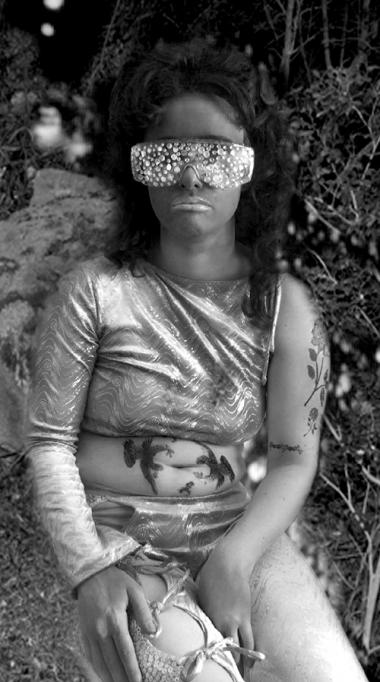 RenÃ©e van Trier, Hummingbird, 2011