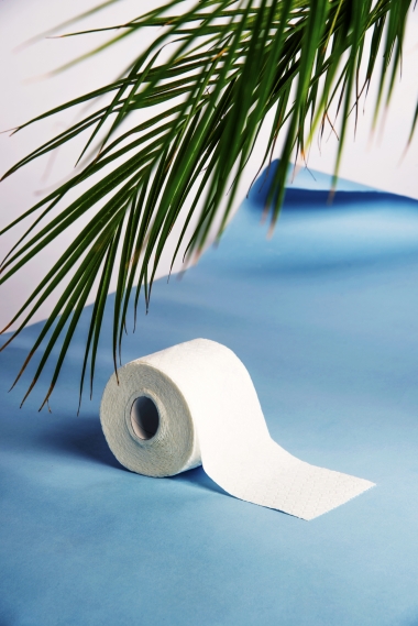 Public Toilet, MAMA I Have To Pee, 2014