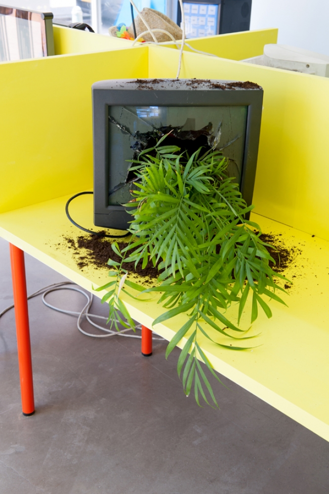 Animated Youngsters - Challenge Accepted!